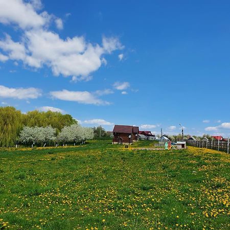 Popas Todiresti - La Iazul Cu 5 Casute Hotel Suceava Buitenkant foto