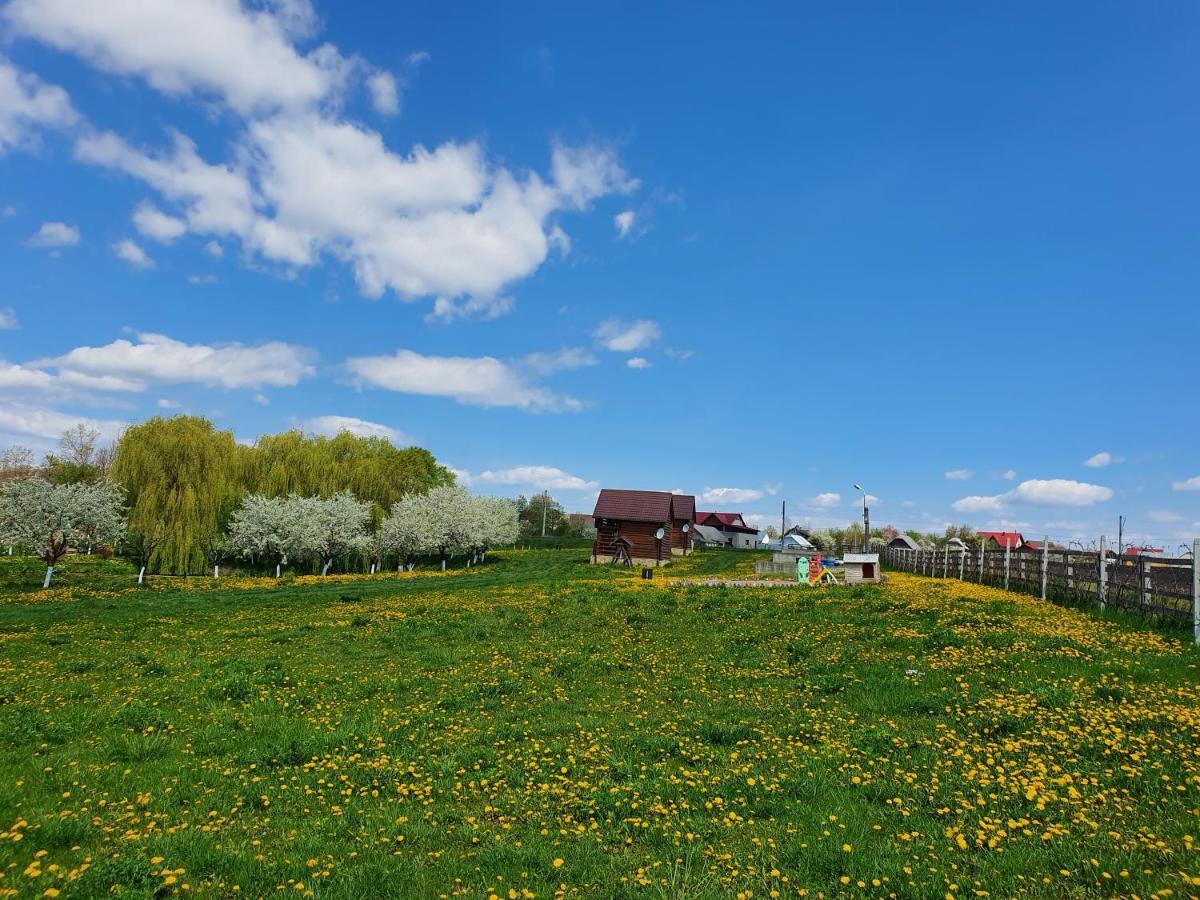 Popas Todiresti - La Iazul Cu 5 Casute Hotel Suceava Buitenkant foto