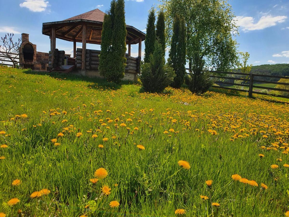 Popas Todiresti - La Iazul Cu 5 Casute Hotel Suceava Buitenkant foto